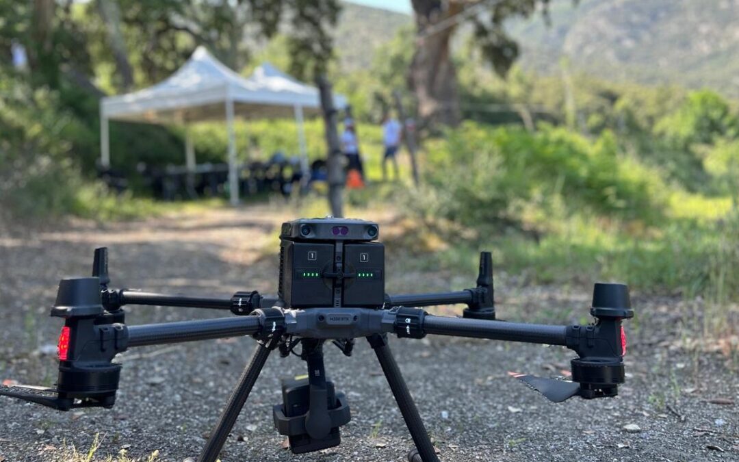 LA MESURE D&rsquo;UN GÉANT : LE PLUS GRAND CHÊNE LIÈGE DU MONDE