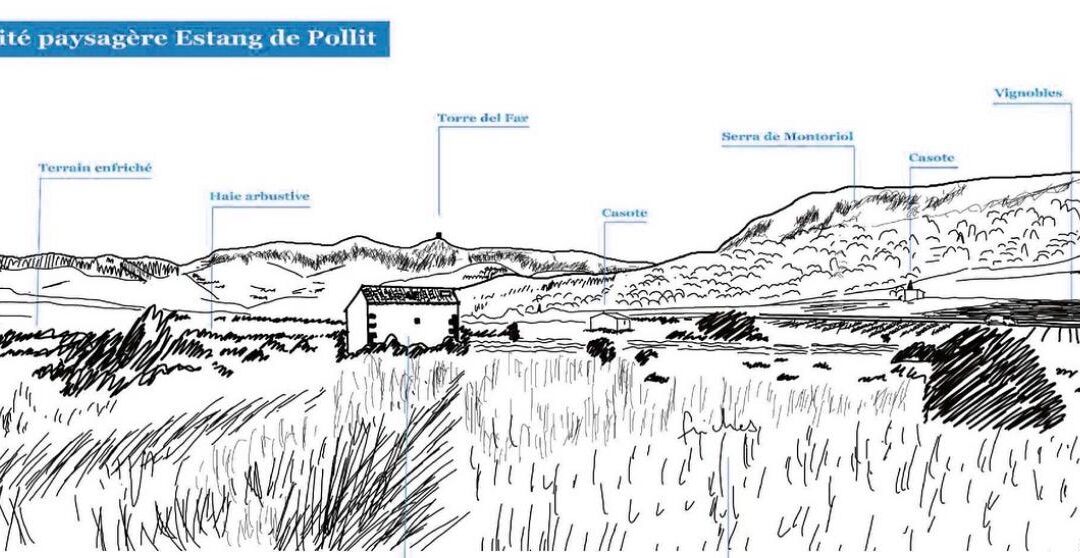 L&rsquo;EXPERTISE PAYSAGÈRE AU SERVICE D&rsquo;UN AMÉNAGEMENT DURABLE